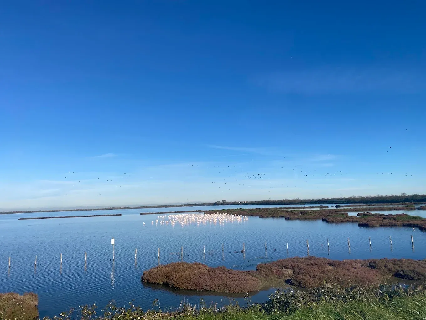 Noleggio barca senza patente nella Laguna Veneta