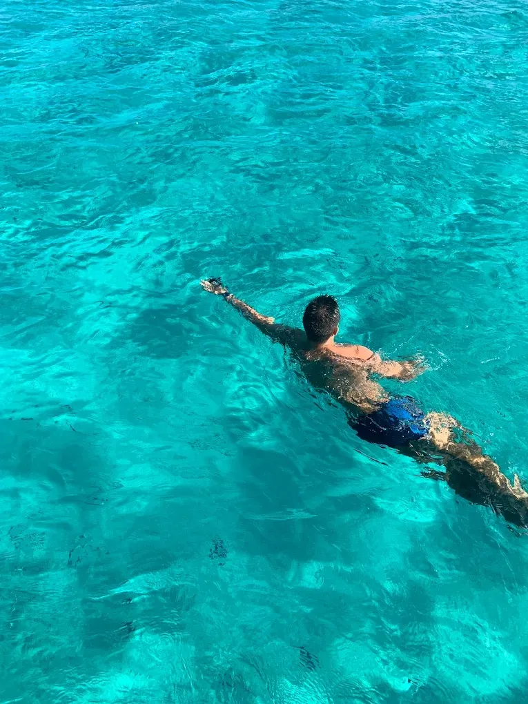 Escursione in catamarano all'Asinara da Stintino con pranzo