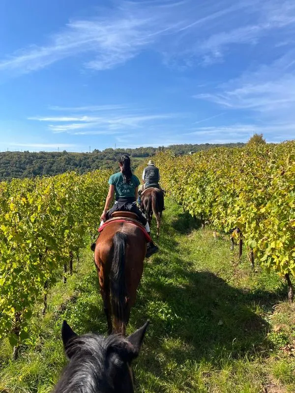 Passeggiata a cavallo sulle Colline Moreniche