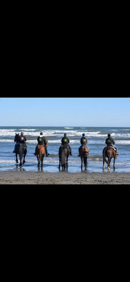 Horse Riding by the sea in Chioggia