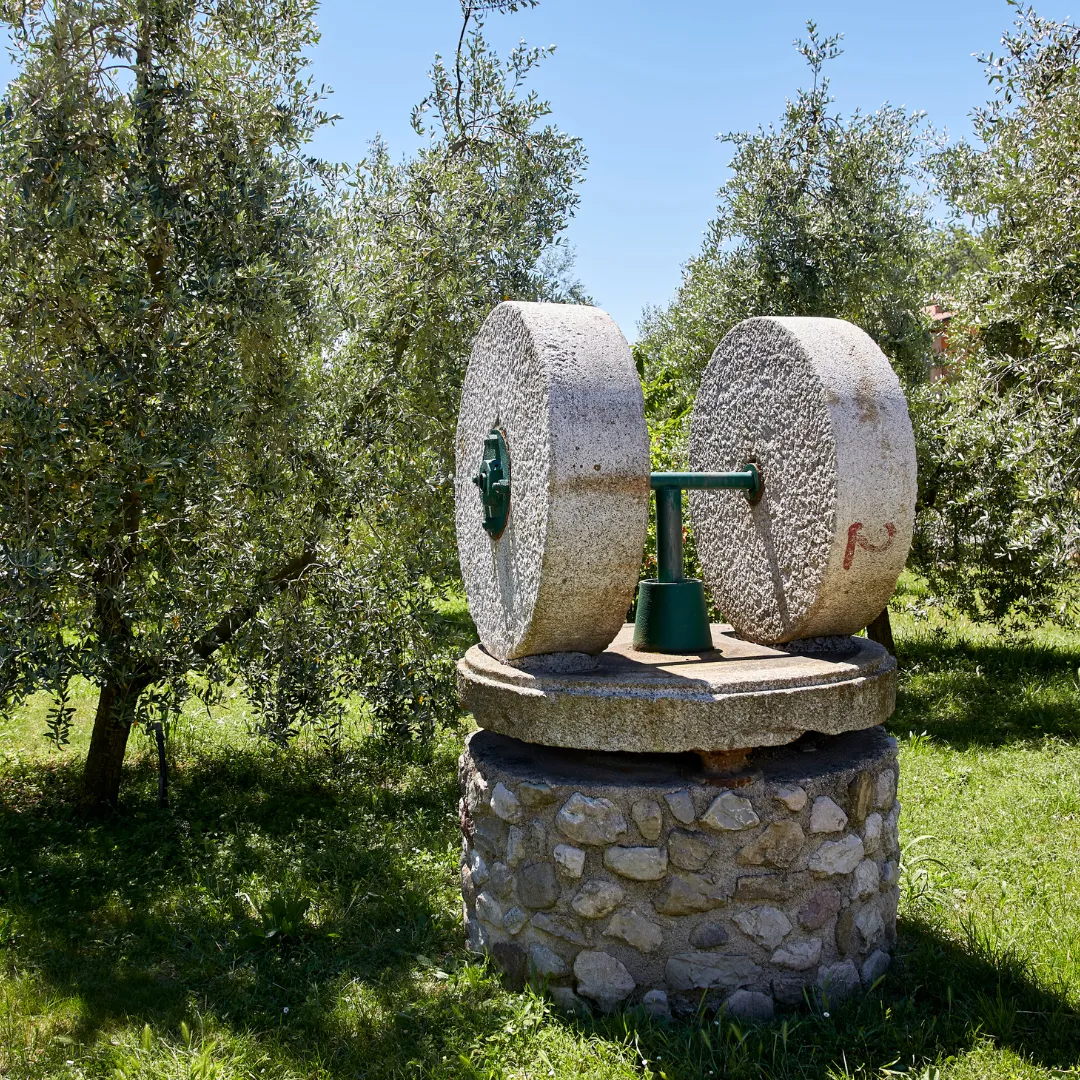Degustazione di olio al Frantoio Manestrini sul Lago di Garda