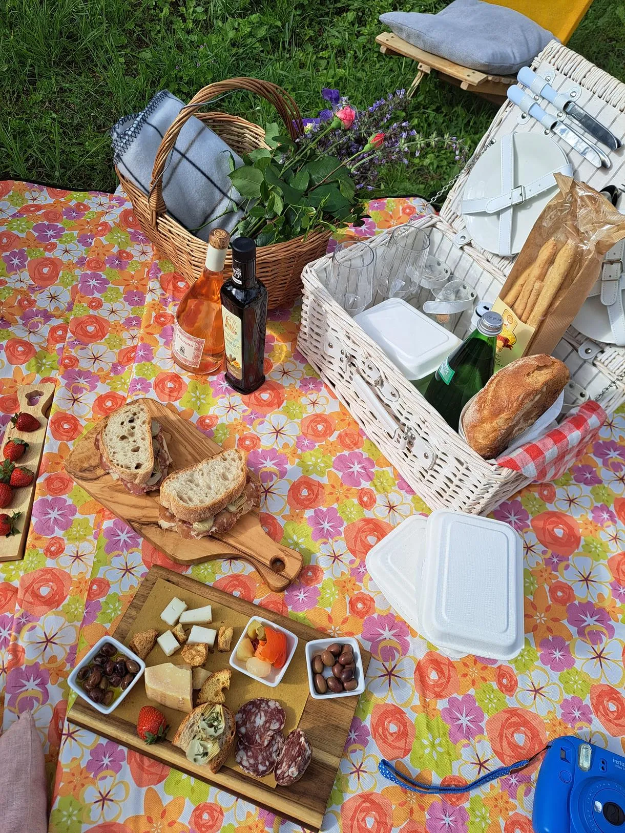 Picnic nell'uliveto sul Lago di Garda al Frantoio Manestrini