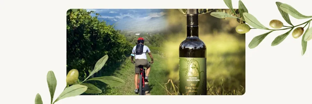 Tour in e-bike con degustazione di olio sul Lago di Garda