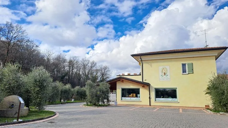 E-Bike Tour e Degustazione di Olio EVO in Valtenesi