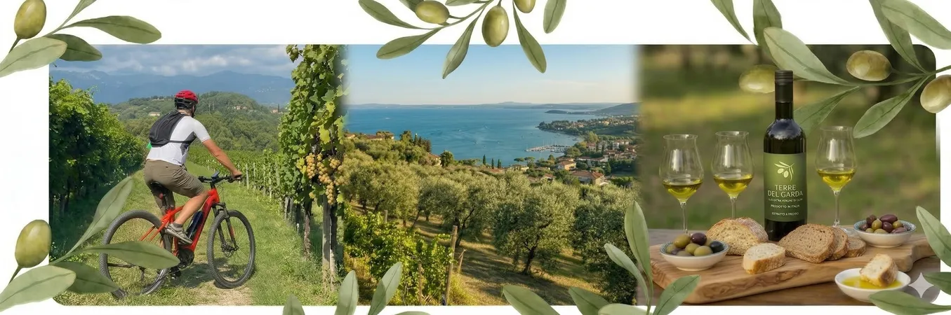 Tour in e-bike con degustazione di olio sul Lago di Garda