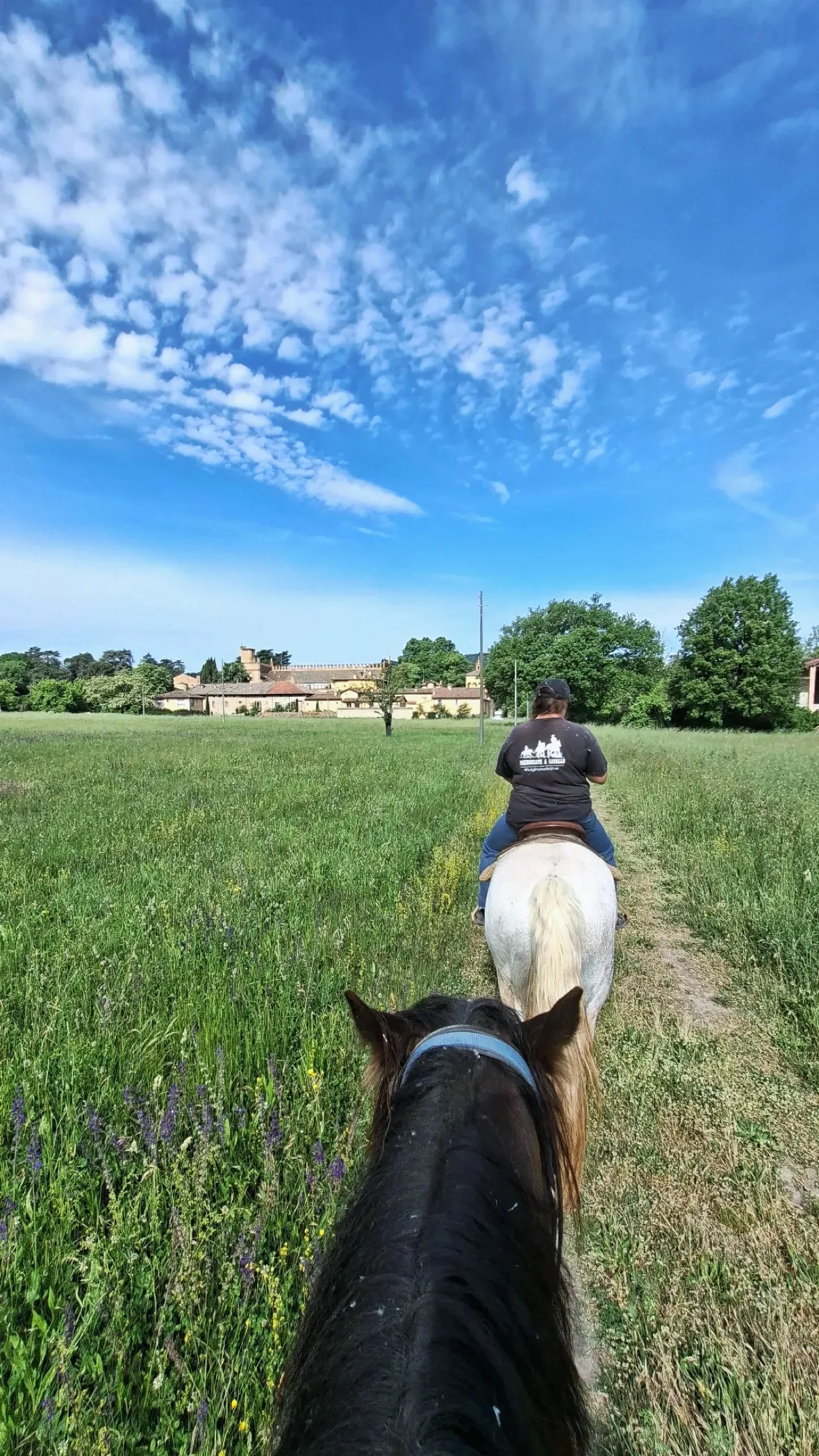 Passeggiata a cavallo sui colli di Bologna