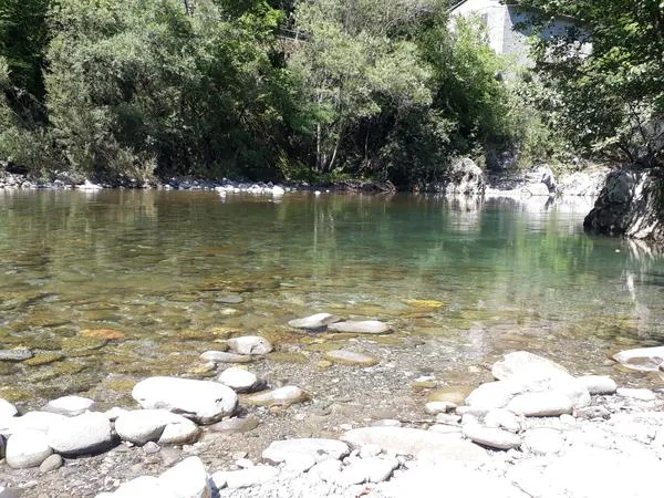 passeggiata a sei zampe e degustazione di vini