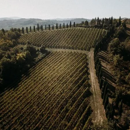 Degustazione in tenuta in Emilia