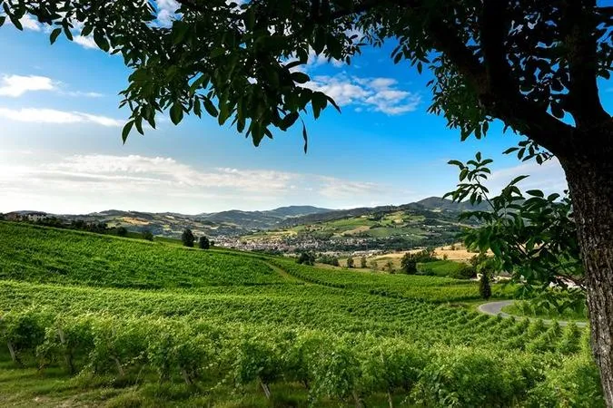 Degustazione in tenuta in Emilia