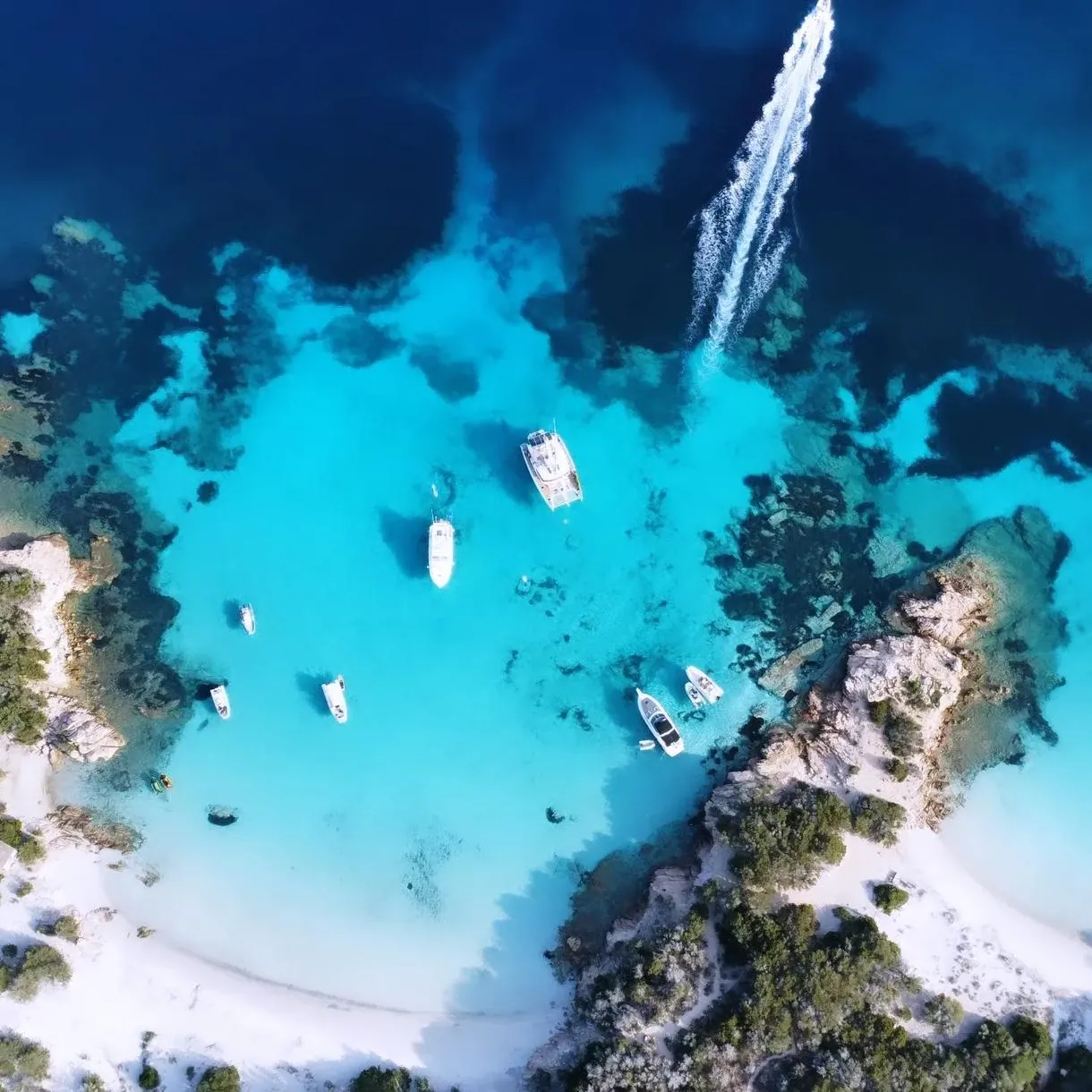 Escursione giornaliera in motoscafo nell'Arcipelago di La Maddalena con pranzo