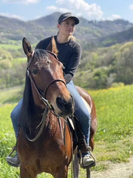 Lezione di equitazione americana in contesto esclusivo
