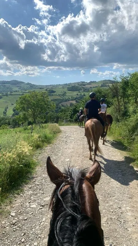 Passeggiata a cavallo tra i boschi
