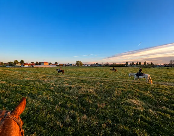 Passeggiata a cavallo nel Parco delle Groane vicino Milano