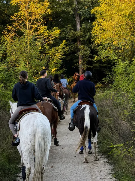 Passeggiata a cavallo nel Parco delle Groane vicino Milano
