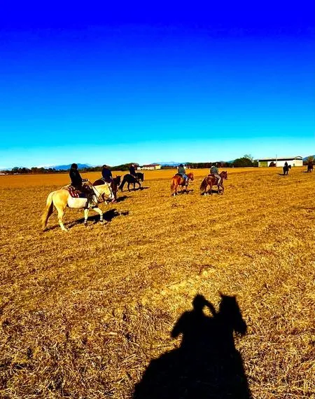 Passeggiata a cavallo tra i boschi