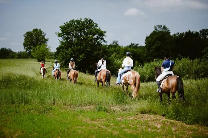 Passeggiata a cavallo sulle colline del Monferrato