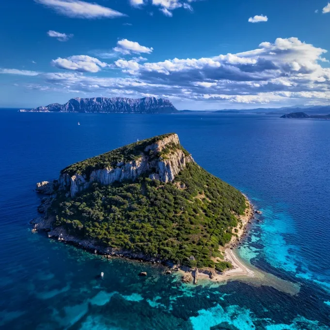 Escursione in barca a Golfo Aranci con snorkeling e avvistamento delfini