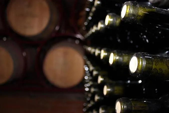 Wine tasting and visit to Terre del Marchesato winery in Bolgheri