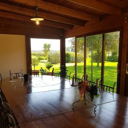 Wine tasting and visit to Terre del Marchesato winery in Bolgheri