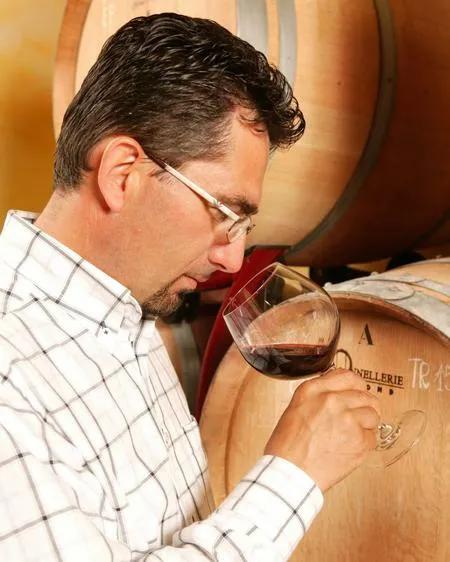 Wine tasting and visit to Terre del Marchesato winery in Bolgheri