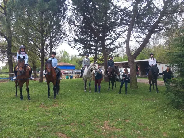 Passeggiata a cavallo con pranzo a Fagnano Olona