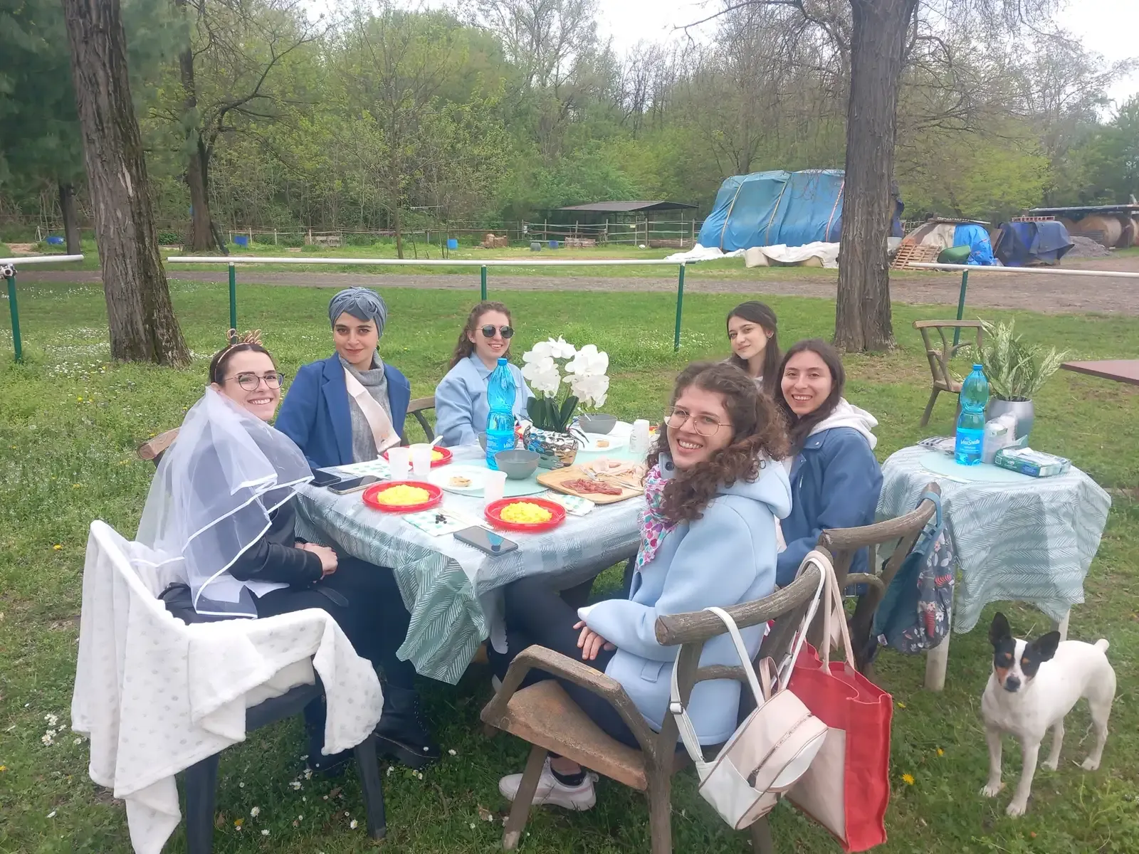 Passeggiata a cavallo con pranzo a Fagnano Olona
