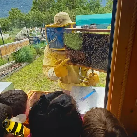 Apicoltore per un giorno in Valtellina a Chiuro