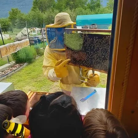 Apicoltore per un giorno in Valtellina a Chiuro