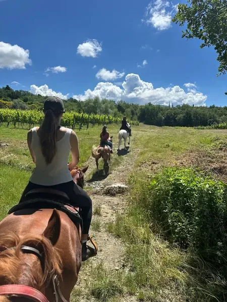 Passeggiata a cavallo con aperitivo sulle colline fuori Firenze
