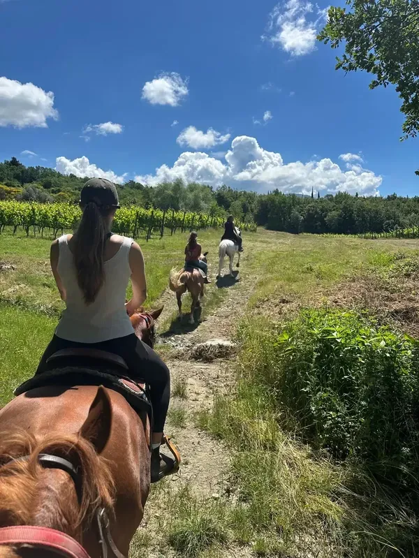 Passeggiata a cavallo con aperitivo sulle colline fuori Firenze