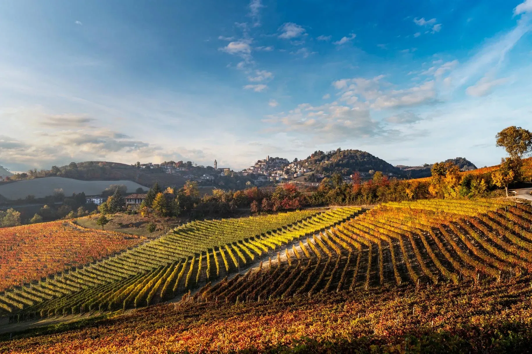 Degustazione vini e visita in cantina nelle Langhe a La Morra
