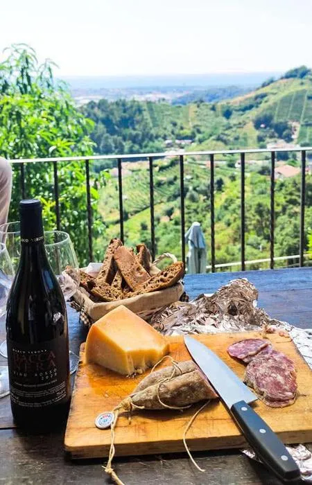 Degustazione comparativa di vini nel giardino