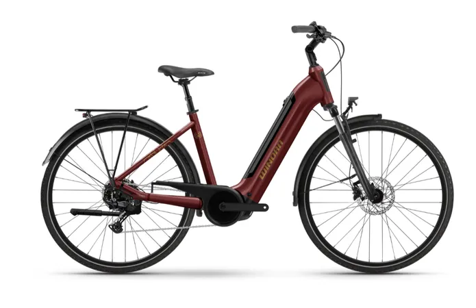 Noleggio e-bike WINORA CITY