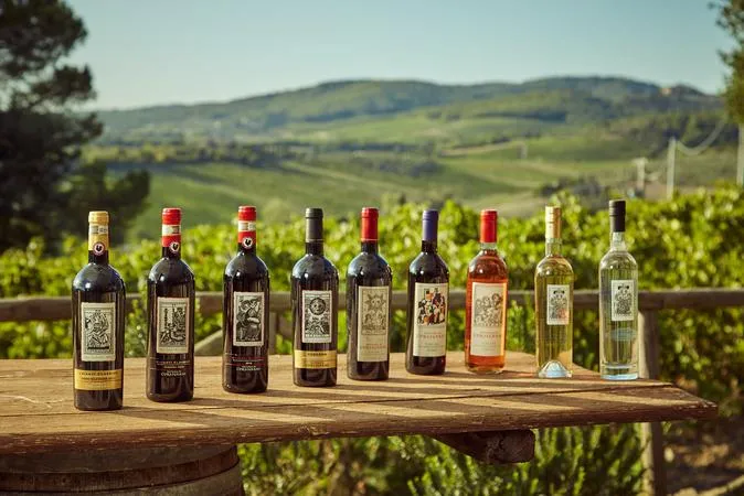 Degustazione guidata di vini biologici Chianti Classico con vista su Siena