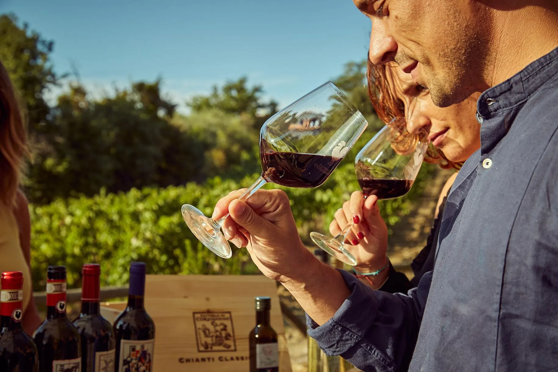 Degustazione guidata di vini con visita alla cantina nei pressi di Siena