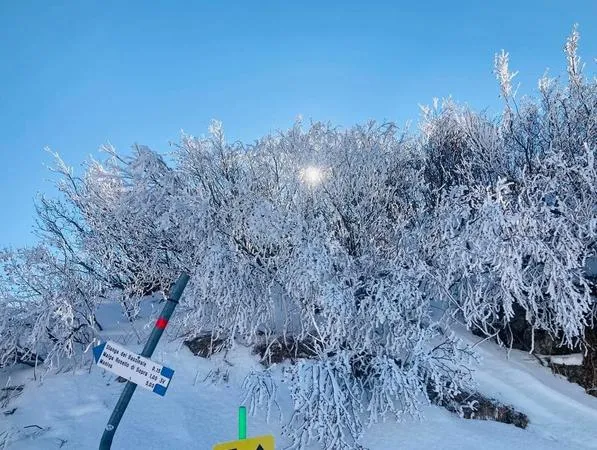 Snowmobile Tour in Montecampione in Val Camonica