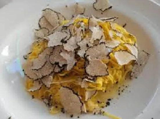 Esperienza di caccia al tartufo delle Langhe e degustazione vini (Copia)