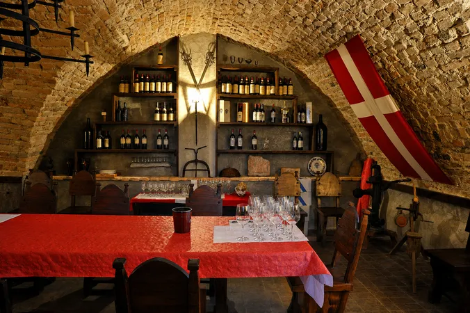 Tour delle cantine storiche e degustazione di vini al Castello di Montegrosso d'Asti