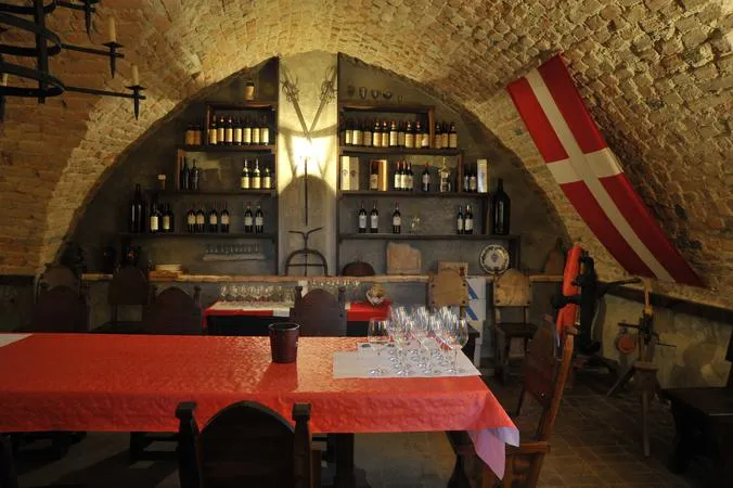 Castello di Montegrosso d'Asti: Degustazione di vini e visita guidata