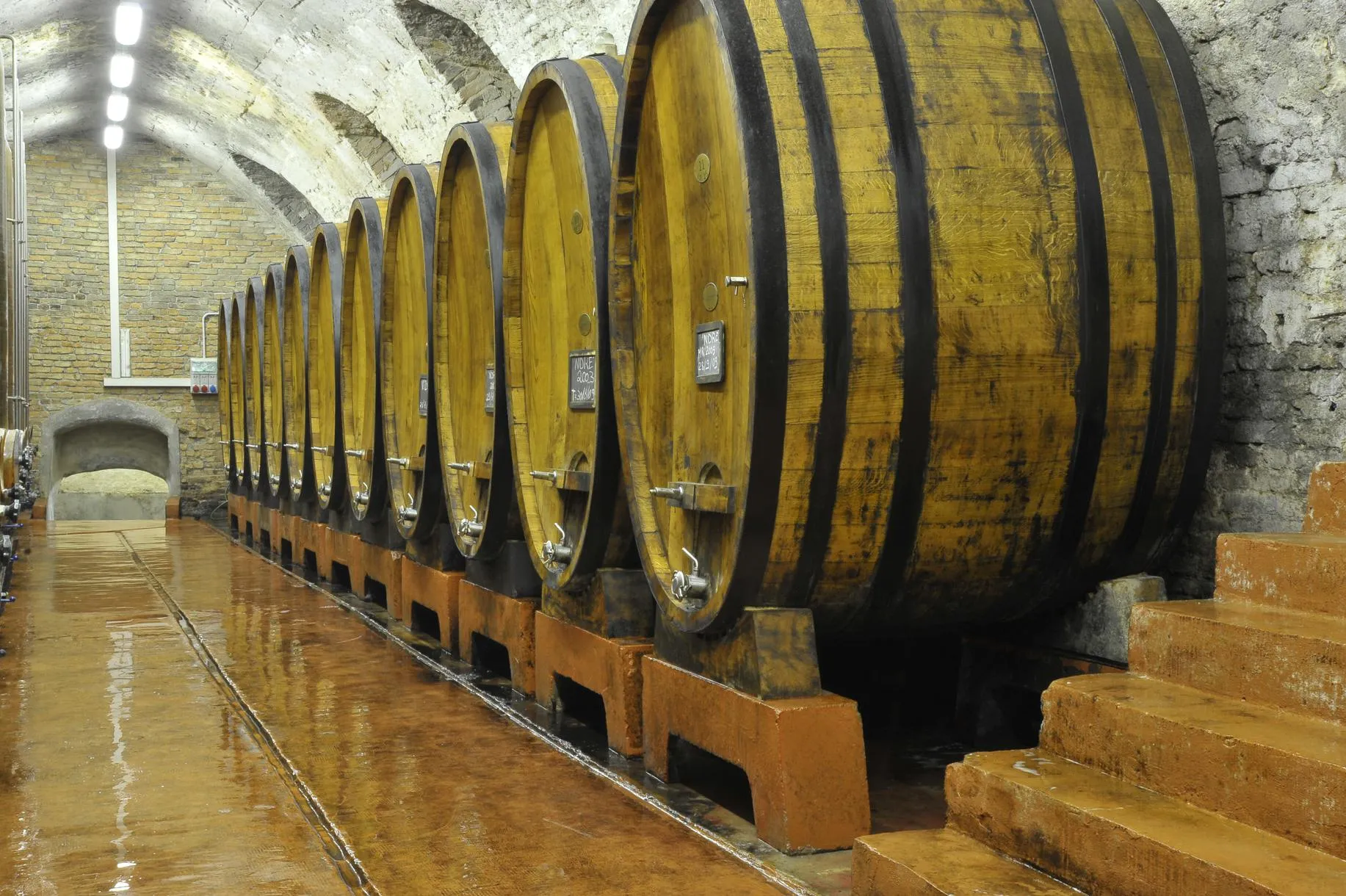 Tour delle cantine storiche e degustazione di vini al Castello di Montegrosso d'Asti