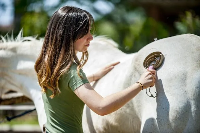 Passeggiata a cavallo per principianti vicino Pisa