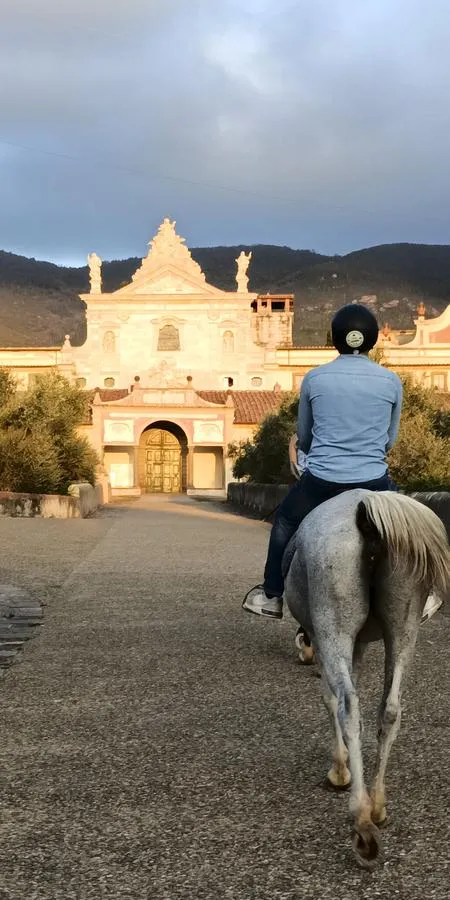 Passeggiata a cavallo per principianti alla Certosa di Calci