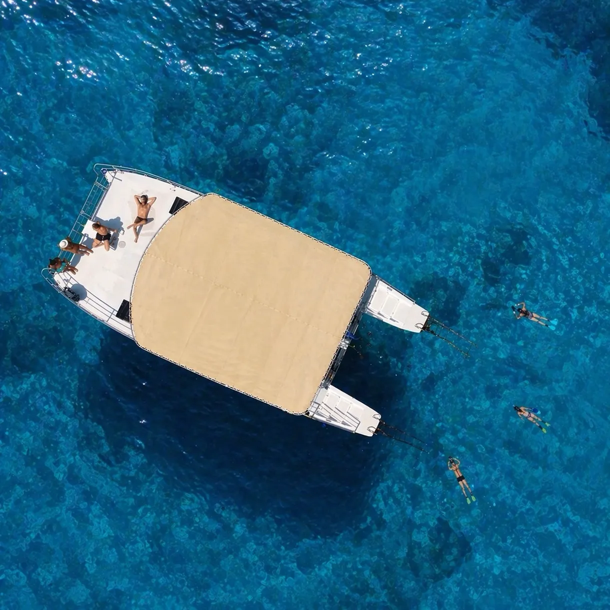 Catamaran excursion between Zingaro, Scopello and sea caves from Castellammare del Golfo