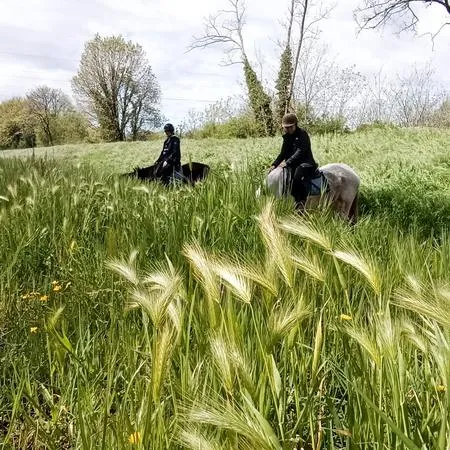 Passeggiata a cavallo esperti "anello di Crespignano"