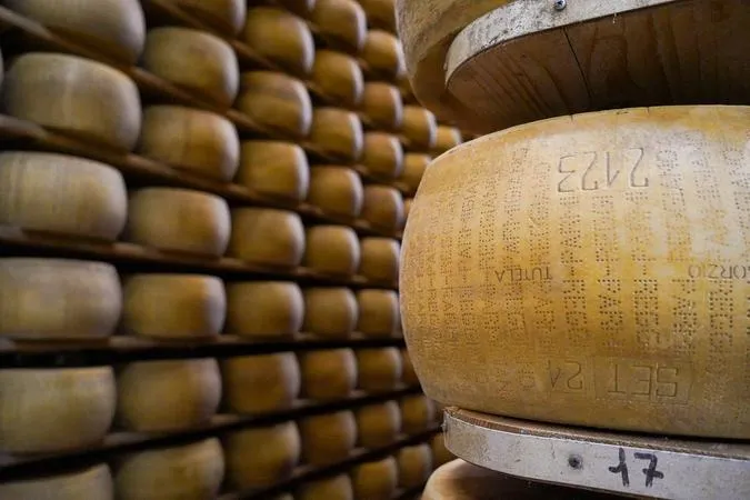 Da Bologna: i Sapori dell'Emilia - Parmigiano, Aceto Balsamico e Vino con Pranzo