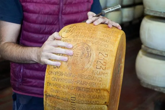From Bologna: Italian breakfast, dairy farm with grazing cows and Parmigiano tasting