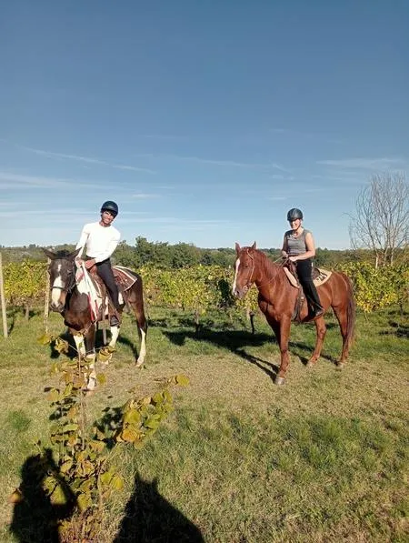 Passeggiata a cavallo sulle colline di Asti