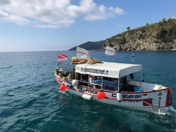Escursione in barca all'Isola d'Elba da Lacona