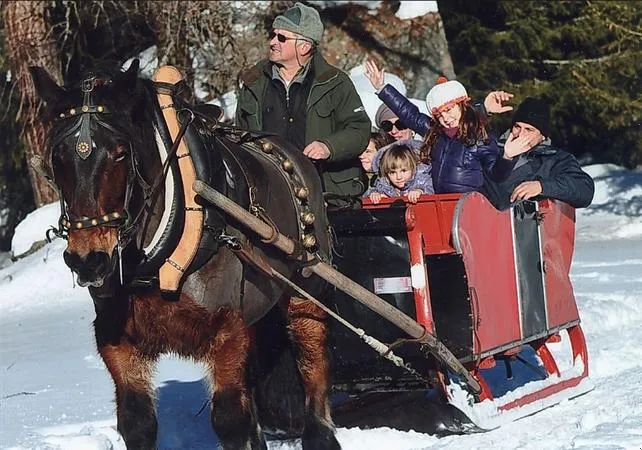 Giro su slitta e cavalli a Cogne