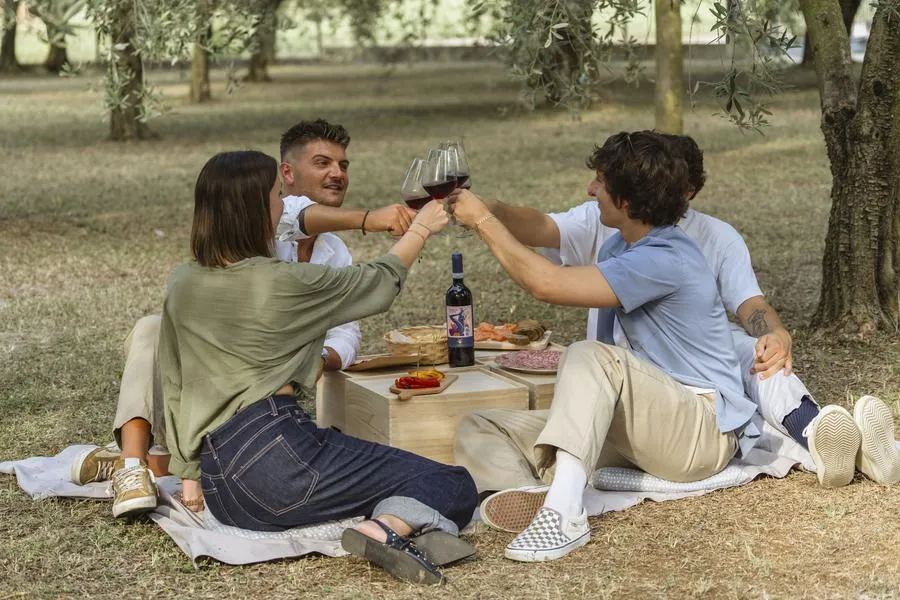 Picnic nei vigneti di Villa Meneghello in Veneto